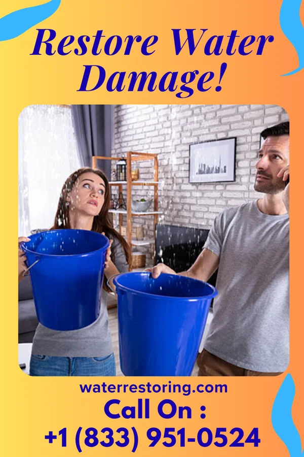 water restoration National Flood Cleanup Masters Sandston